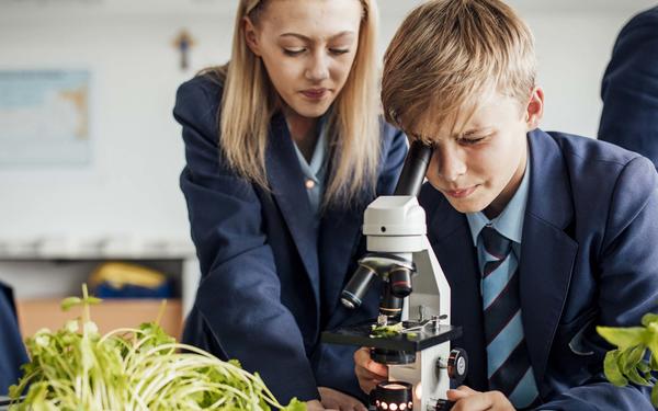 Two upper school pupils looking at plants through a microscope in a UK classroom.