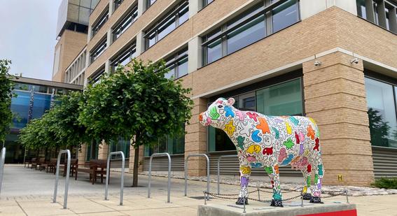 Cambridge Assessment's Cows About Cambridge cow outside Cambridge Assessment's Triangle building in Cambridge