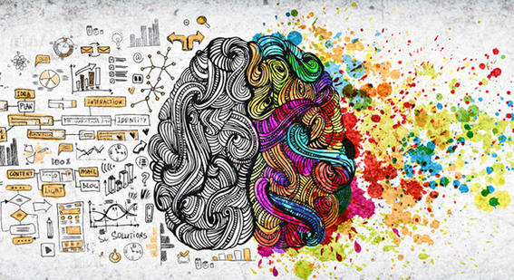 Illustration of the brain